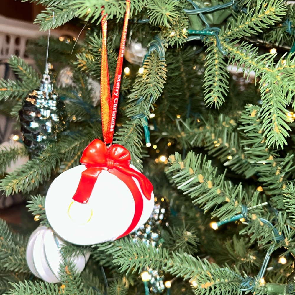 CUTE and FUNNY Festive White and Red TOILET PAPER Ornament with Bow